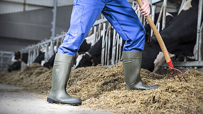 mangel gæld upassende Why dairy farmers need the best boots