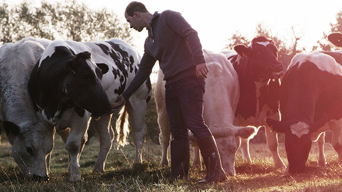 Arbeitsstiefel für die Landwirtschaft