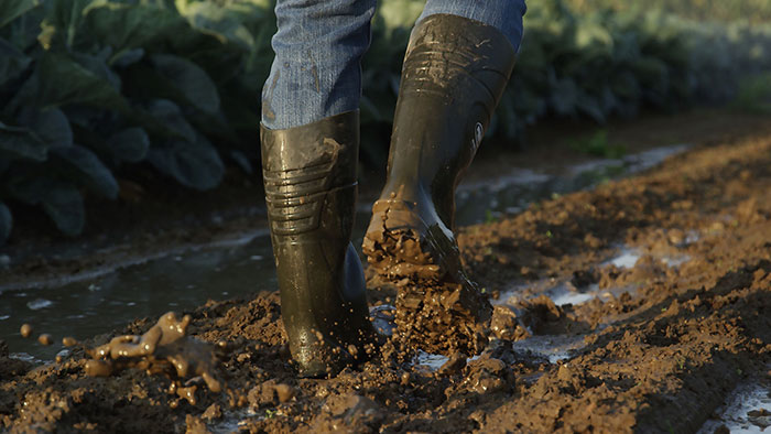Bekina Boots Neotane farming wellies