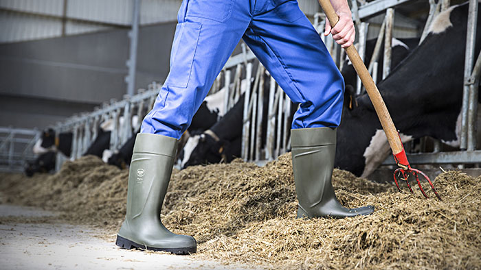 Rubber farming boots steel toe