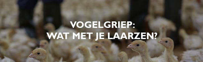 vogelgriep-laarzen-maatregelen