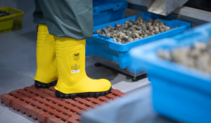Botas para acuicultura