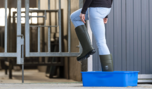 Farmer steps into a disinfection bath with Bekina Boots before entering the hygiene lock for a good biosafety