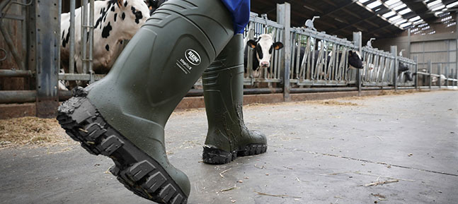 Botas de caucho invierno agricolas