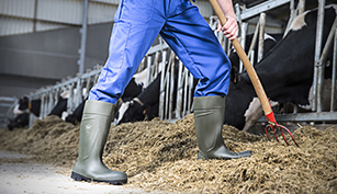 dairy farmer best boots