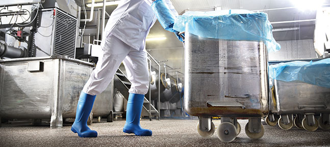 avis bottes de sécurité industrie alimentaire