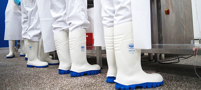 Butcher's wellies