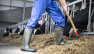 Rubber farming boots steel toe